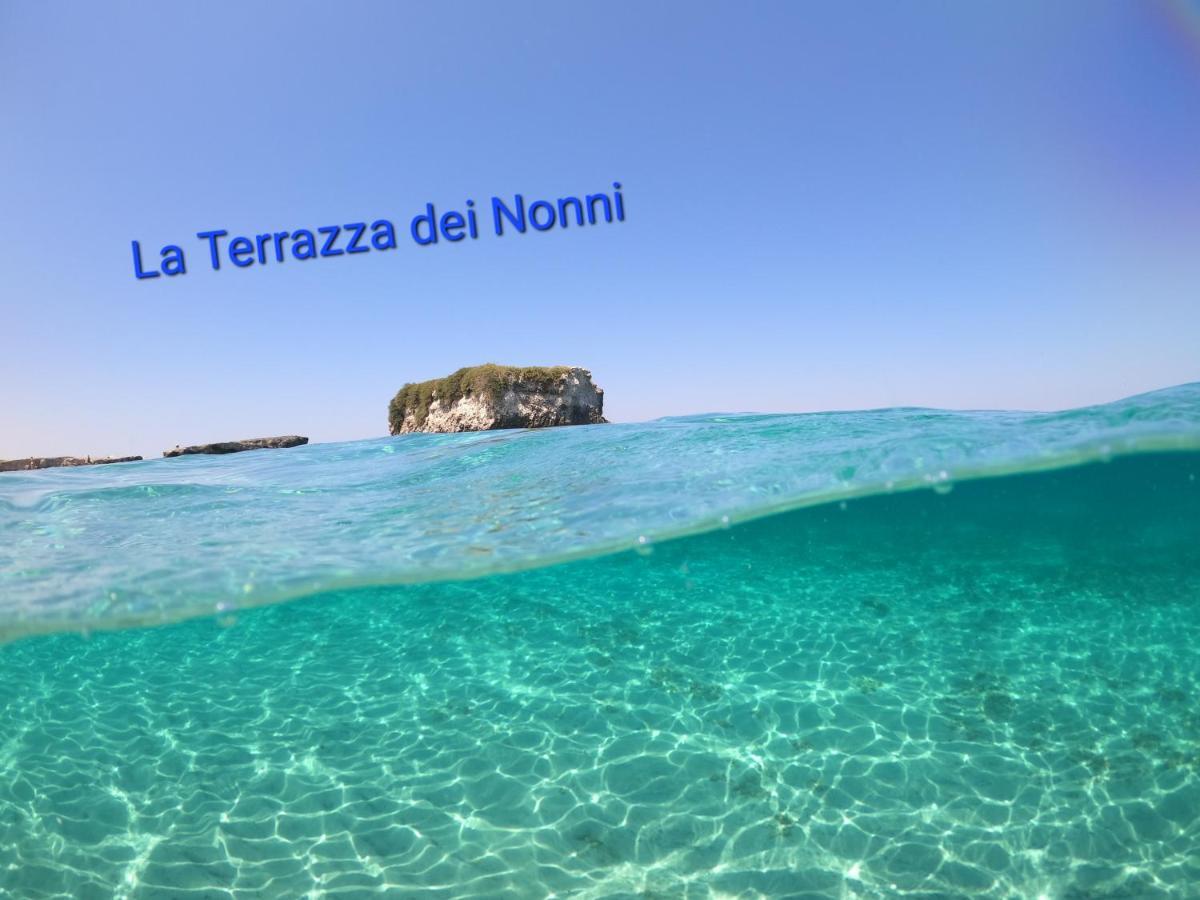 トッレ・スペッキア・ルッジェーリLa Terrazza Dei Nonniアパートメント エクステリア 写真